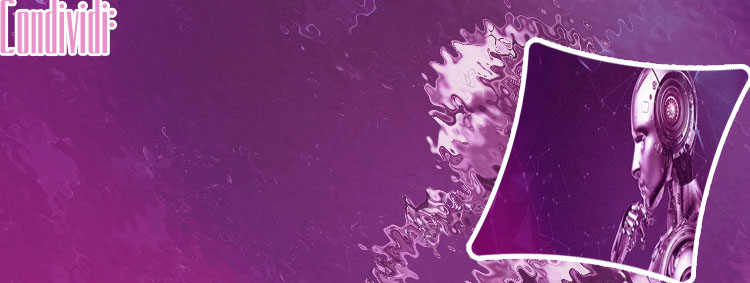 Azienda di sviluppo prodotti software per iGaming